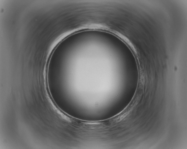 X0000086341343200703301246