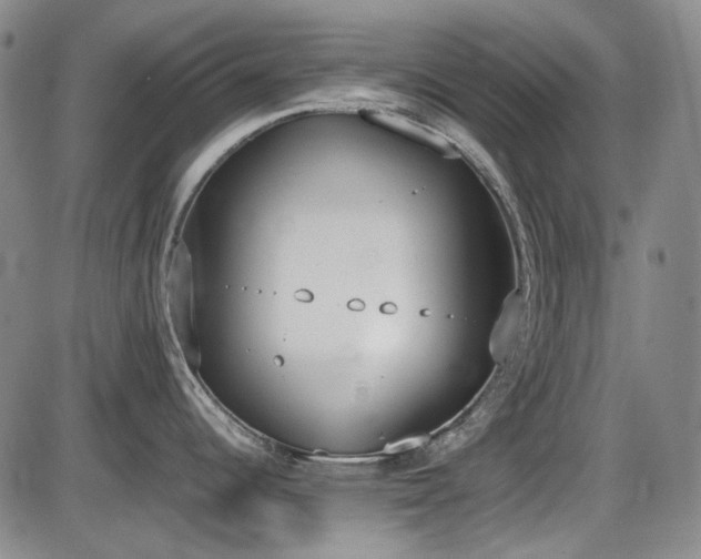 X0000086341344200703301246