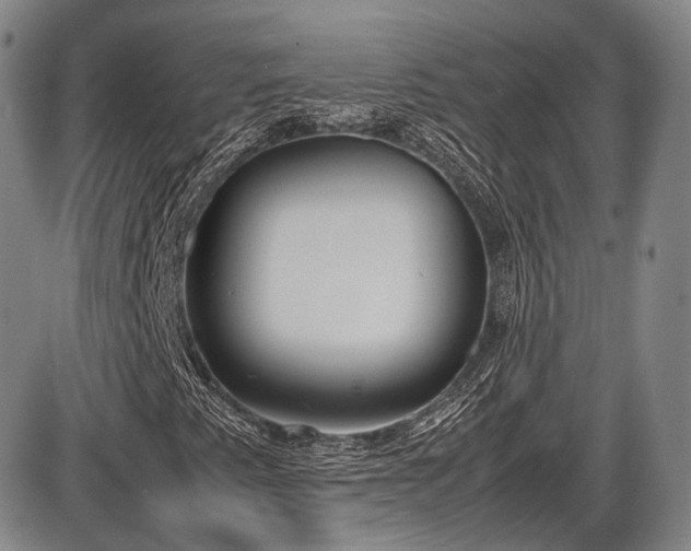 X0000086341345200703301245
