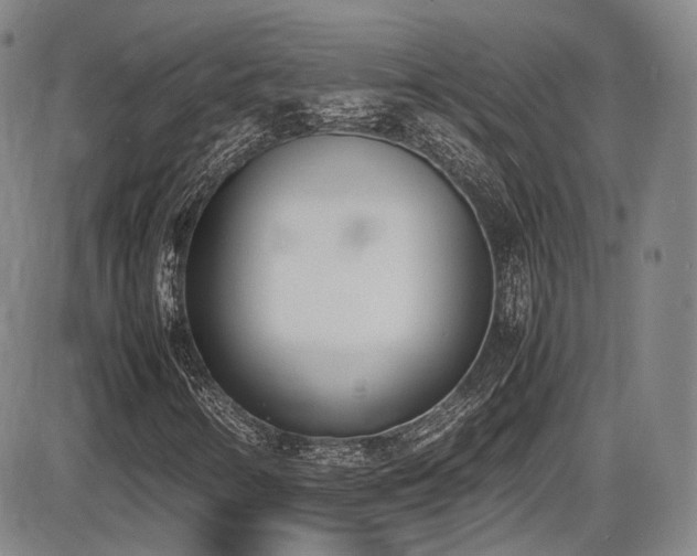 X0000086341346200703301245