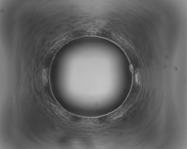 X0000086341347200703301245