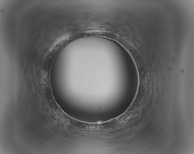 X0000086341351200703301245