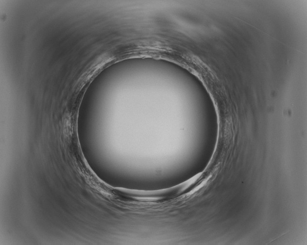 X0000086341353200703301245