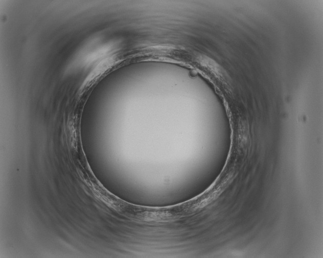 X0000086341354200703301245