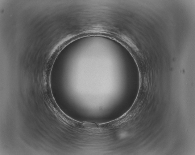 X0000086341356200703301245