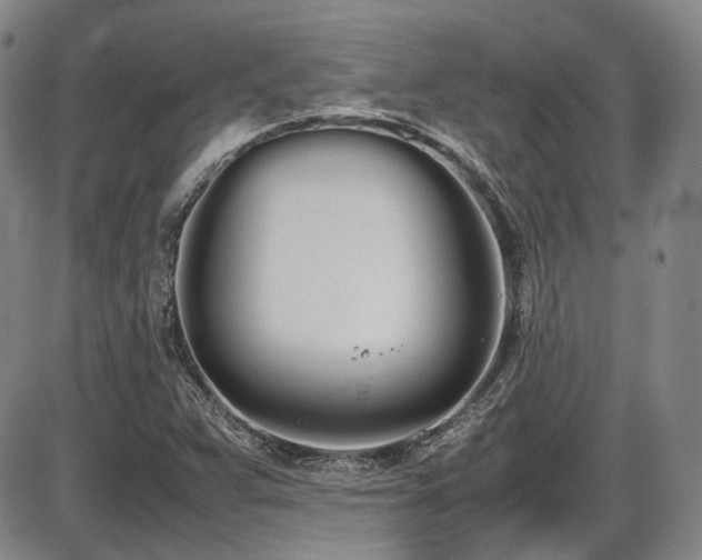 X0000086341359200703301245