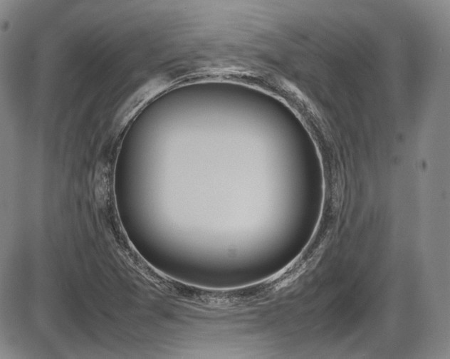X0000086341361200703301245