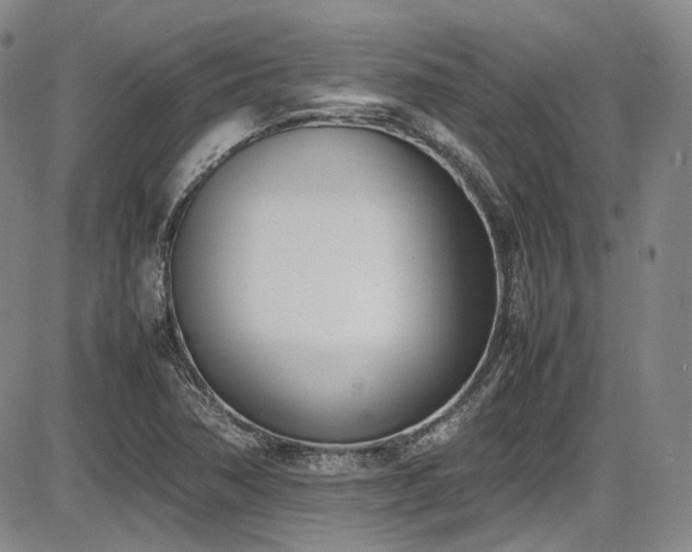 X0000086341362200703301245