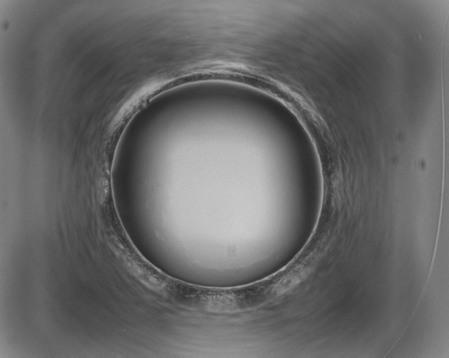X0000086341363200703301245