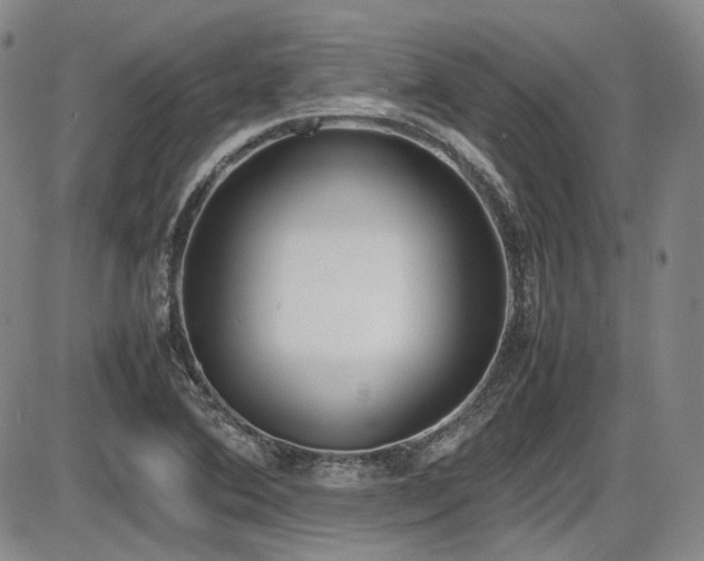 X0000086341364200703301245