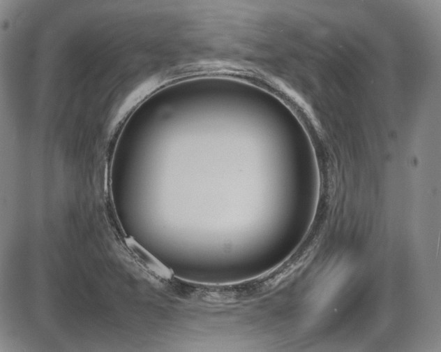 X0000086341365200703301245