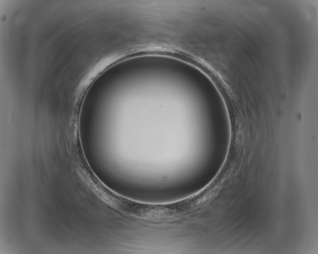 X0000086341367200703301245