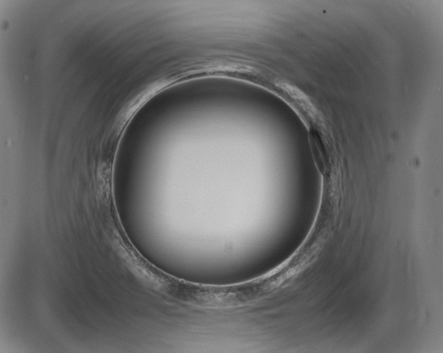 X0000086341369200703301245