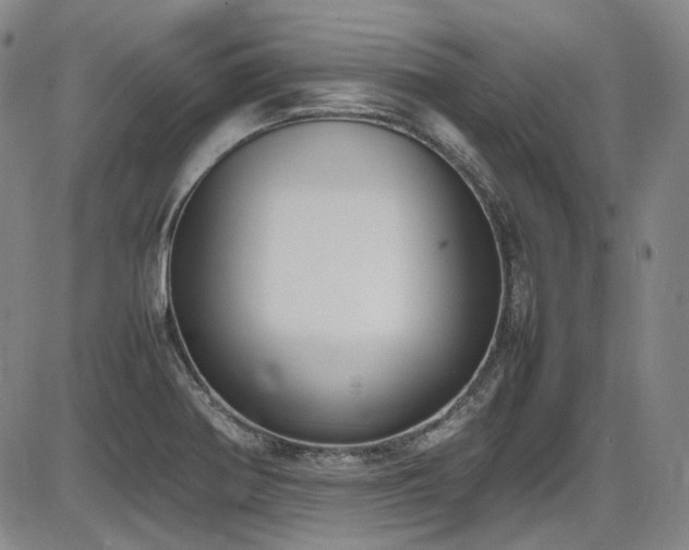 X0000086341370200703301245