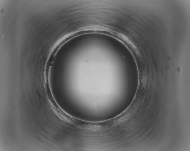 X0000086341372200703301245