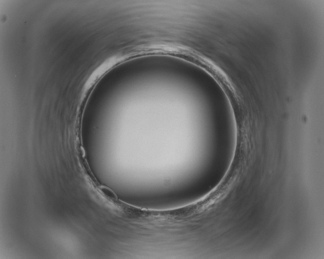 X0000086341373200703301245