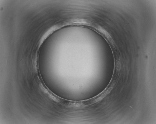X0000086341374200703301244