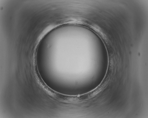 X0000086341375200703301244