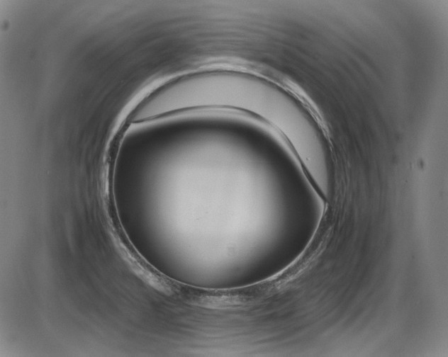 X0000086341376200703301244