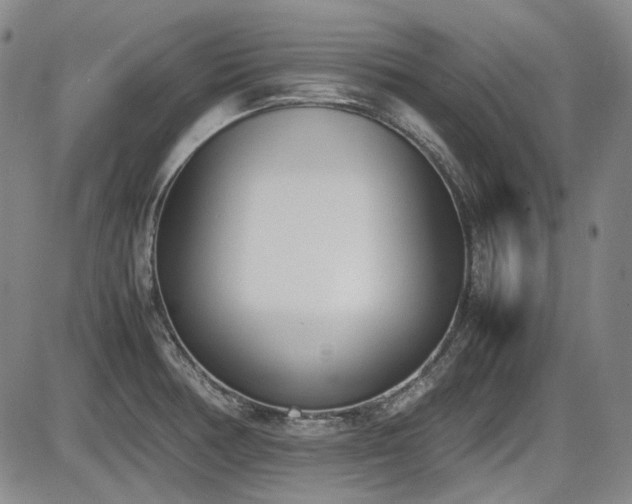 X0000086341378200703301244