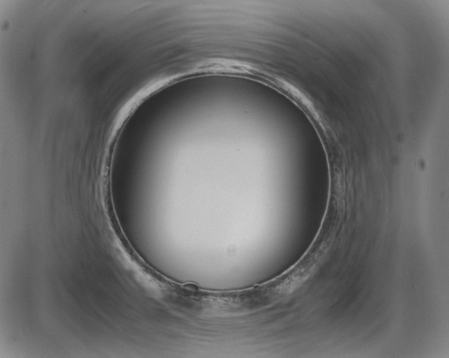 X0000086341379200703301244
