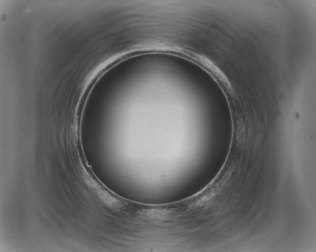 X0000086341380200703301244