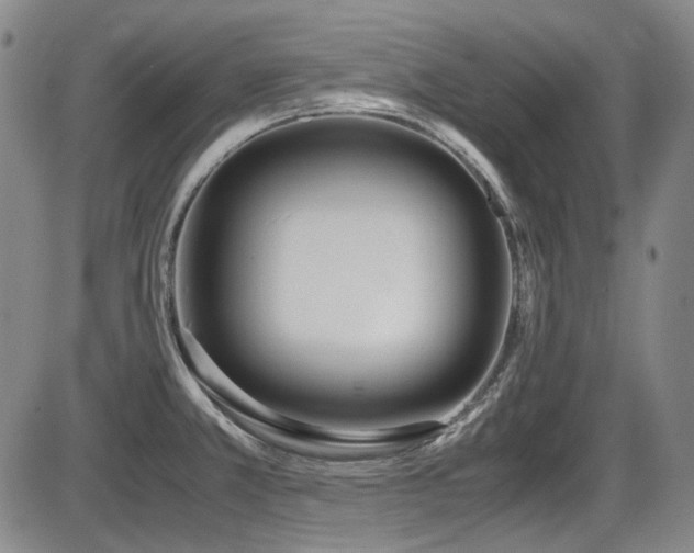 X0000086341381200703301244