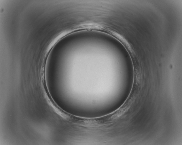X0000086341383200703301244