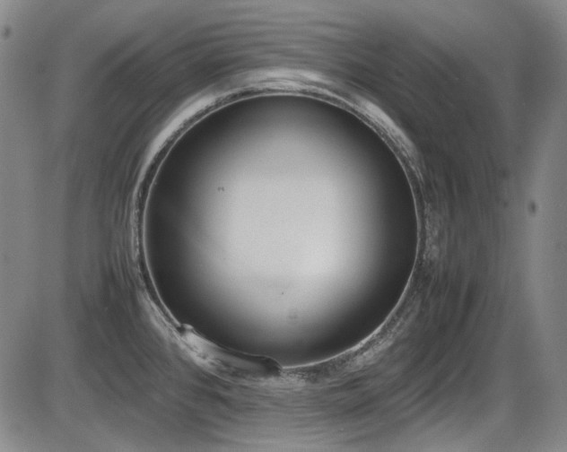 X0000086341384200703301244