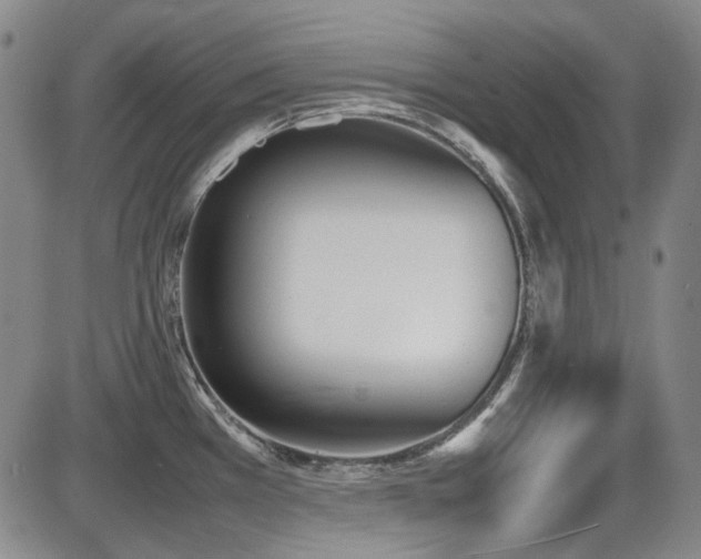X0000086341385200703301244