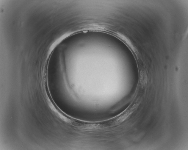 X0000086341387200703301244