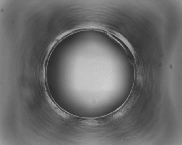 X0000086341388200703301244