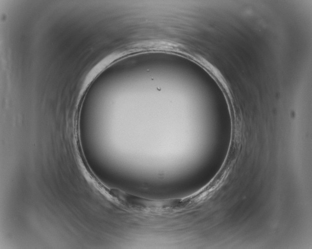 X0000086341389200703301244
