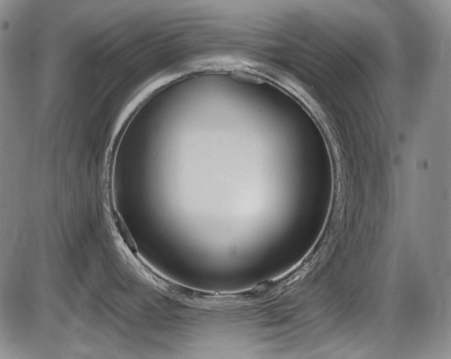 X0000086341392200703301244