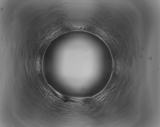 X0000086341394200703301243
