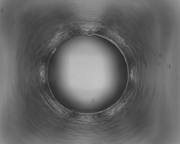X0000086341396200703301243