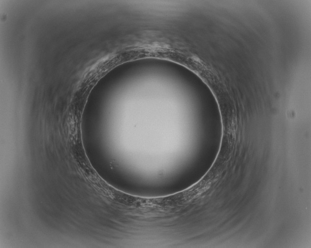 X0000086341398200703301243
