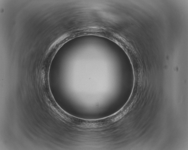 X0000086341402200703301244