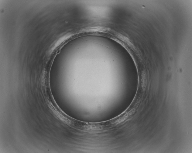X0000086341404200703301244