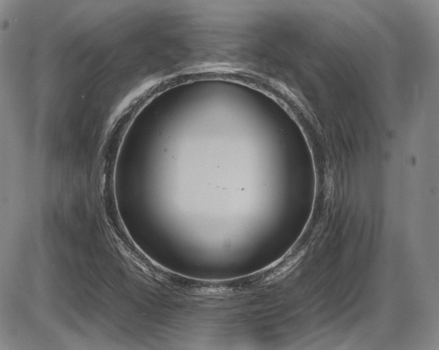 X0000086341406200703301244