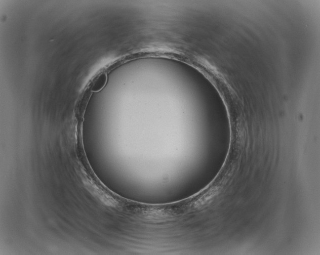 X0000086341408200703301244
