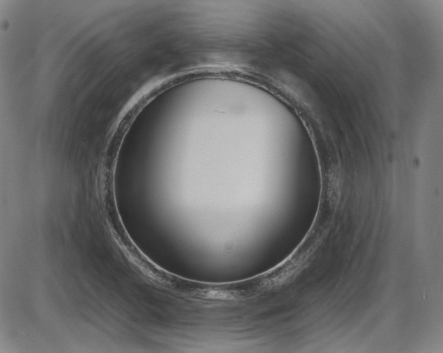 X0000086341412200703301244