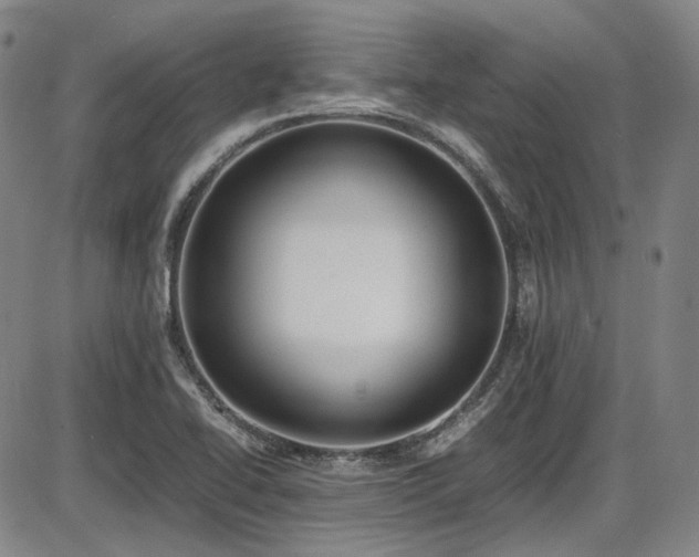 X0000086341414200703301244