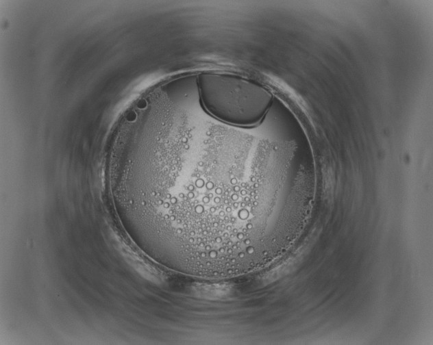 X0000086341415200703301244