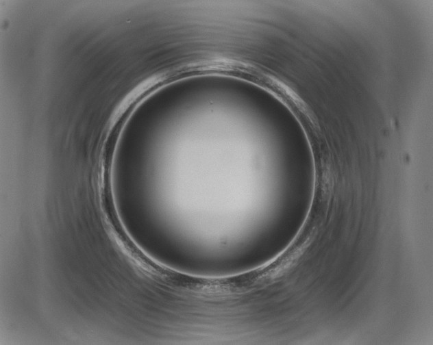 X0000086341418200703301244