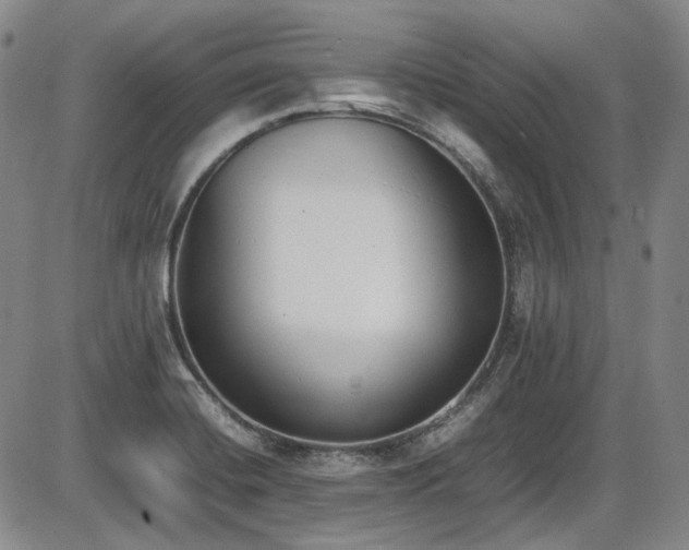 X0000086341420200703301244