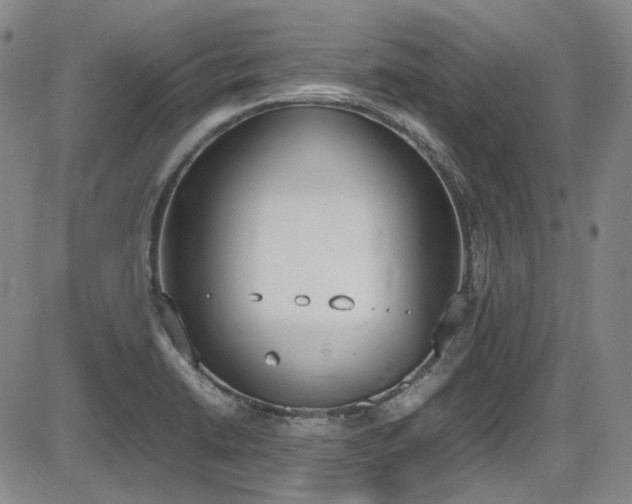 X0000086341422200703301244