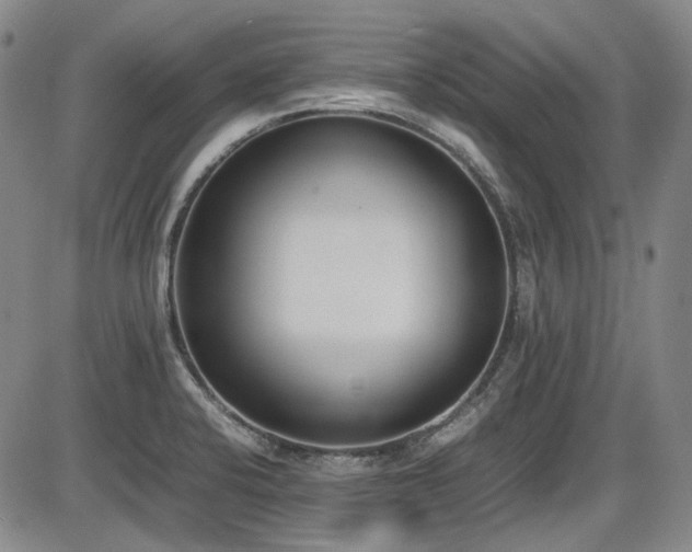 X0000086341424200703301244