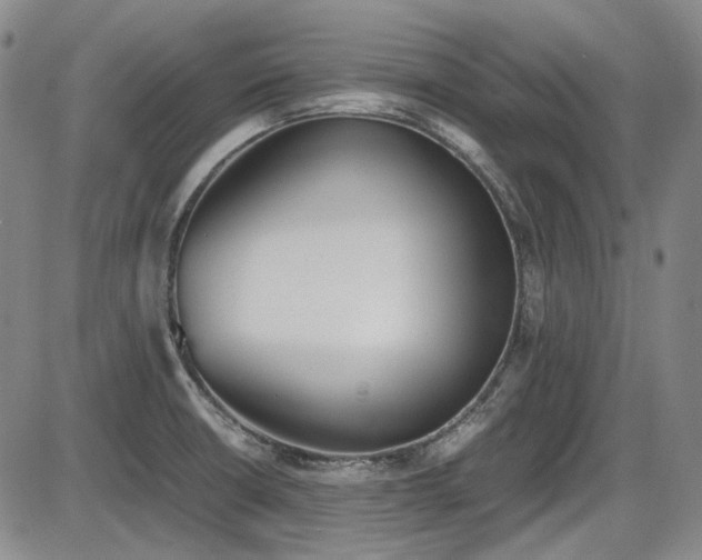 X0000086341426200703301244