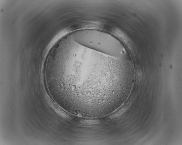 X0000086341427200703301244